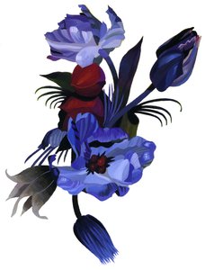 Image inconnue - Unbekannt Unbekannt